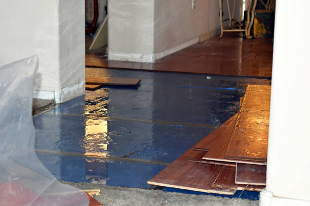 Professional Crawl Space Water Removal technician working in Pocasset, MA